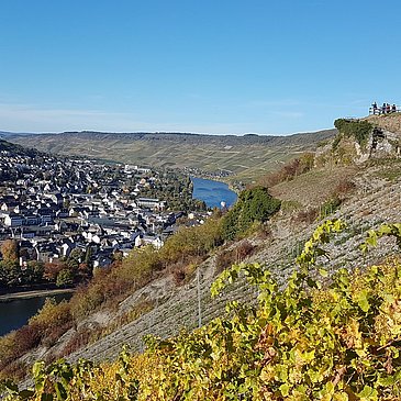 Blick auf die Mosel und Kues
