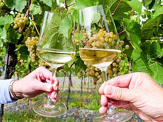 Wein genießen