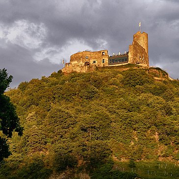 Burg Landshut