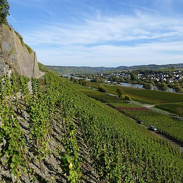 Paulinshofberg