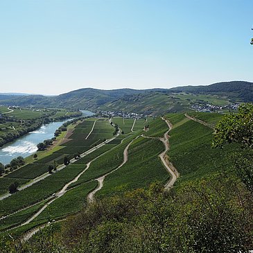 Aussicht auf Kesten und Osann-Monzel