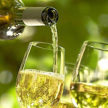 Wein