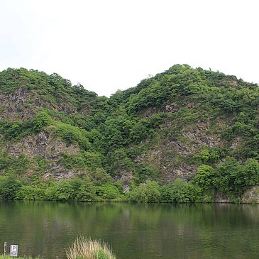 unser Blick auf den Loreleyfelsen der Mosel