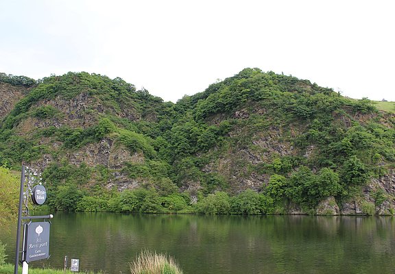 unser Blick auf den Loreleyfelsen der Mosel