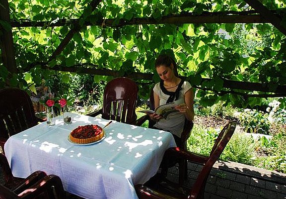 Weinrebenpergola