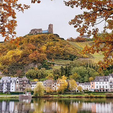 Landschaft_Mosel_Wald_Burg_Herbst_Bernkastel ©Wein