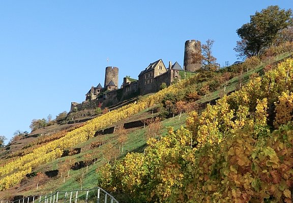 Burg Thurant oberhalb der Alkener Weinberge