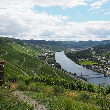 Blick auf die Weinberge
