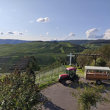 Planwagenfahrt durch die Weinberge