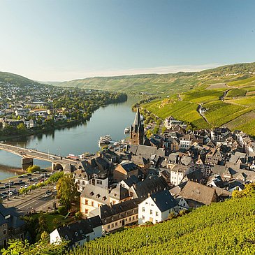 Blick auf die Altstadt