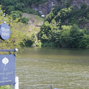 unser Blick auf die Mosel