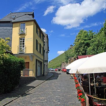 blick_auf_die_weinberge