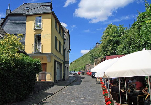 blick_auf_die_weinberge