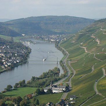 Riesling-Steillagen
