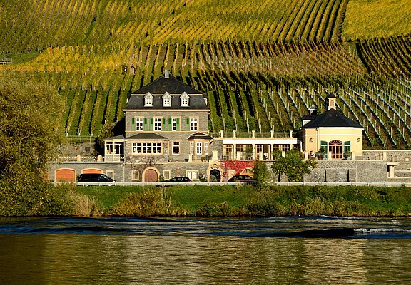 Weingut Dr. Loosen