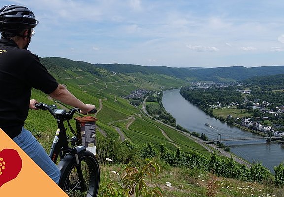 Radfahren an der Mosel durch Weinberge & entlang des Ufers