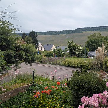 Blick zur Straße