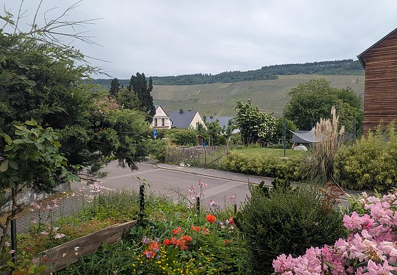 Blick zur Straße