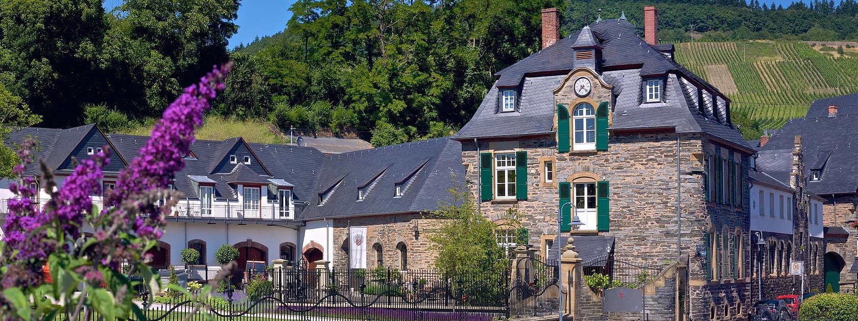 Weingut Schloss Lieser