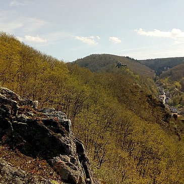 Thalvelenz und Veldenzer Schloss