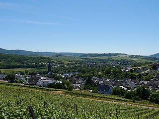 Weinberge mit Blick auf Lieser