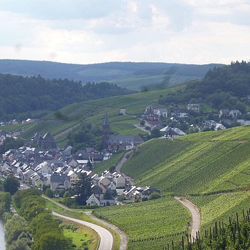 blick-auf-lieser-aus-dem-weinberg--niederberg-held