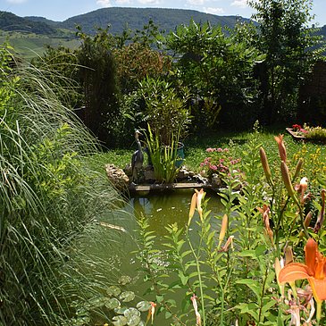 Fischteich