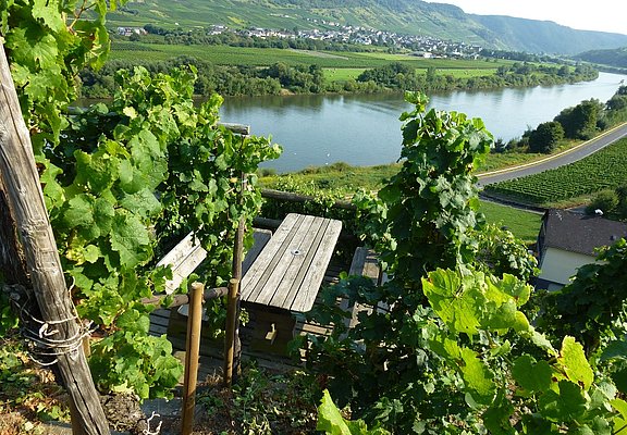 Schöne Rast mit Blick auf die Mosel