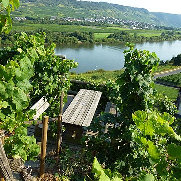 Schöne Rast mit Blick auf die Mosel