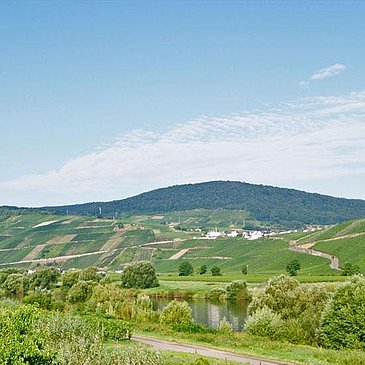 Ausblick