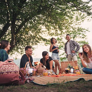 Picknick Shutterstock_1237674001 gekauft