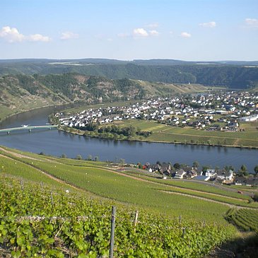 Panorama