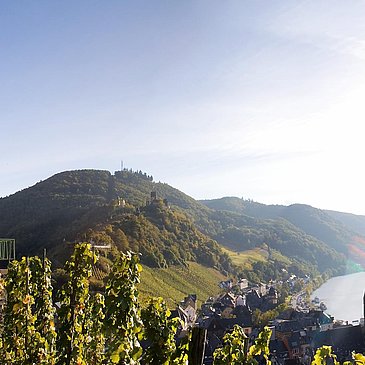 P_Thanisch-Haeuschenb
