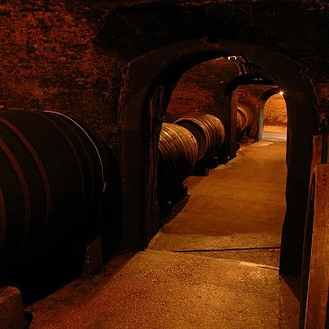 Keller Weingut Mönchhof