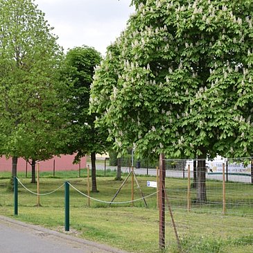 Straße