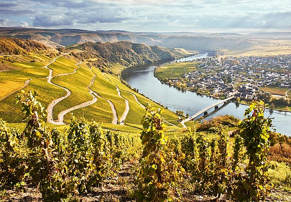 Piesport an der Mosel
