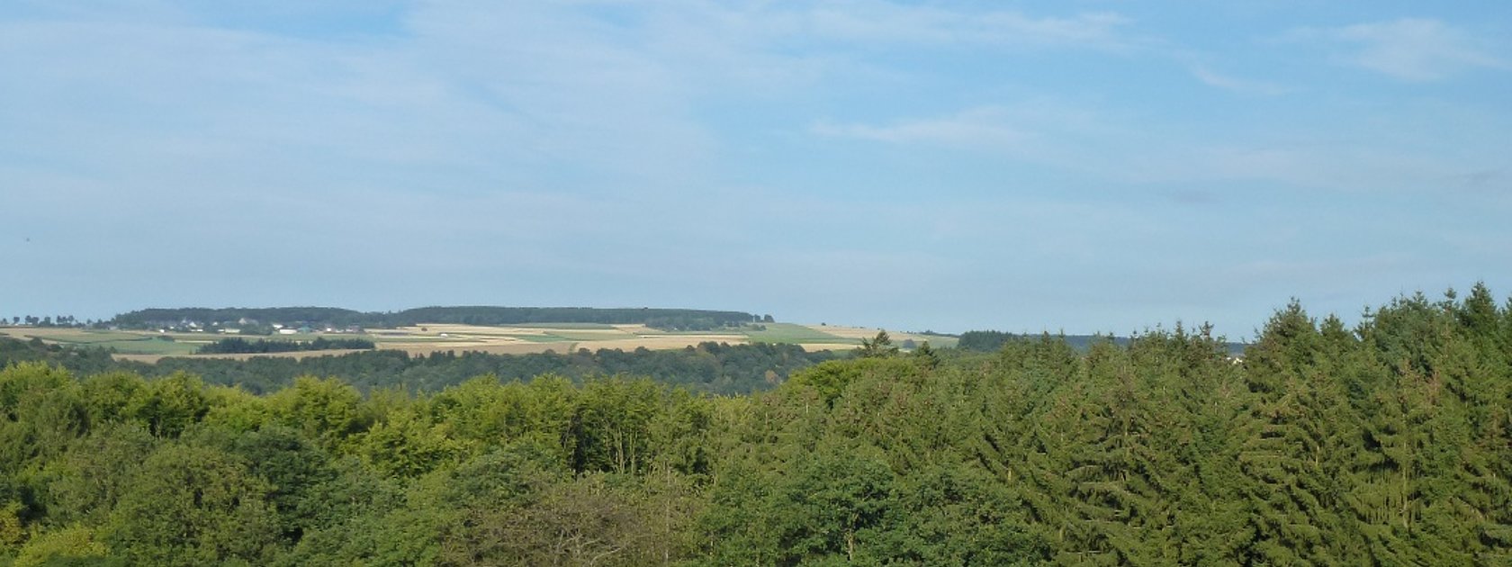 Ausblick auf die Wald- und Wiesenlandschaft