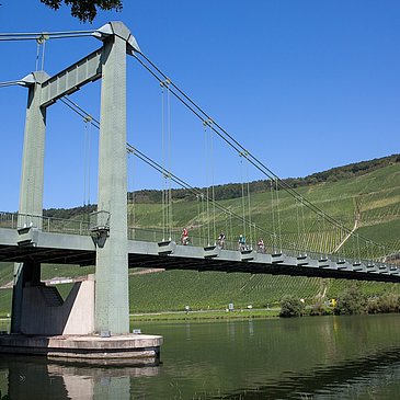 Hängebrücke bei Wehlen
