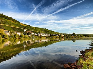 Kesten an der Mosel
