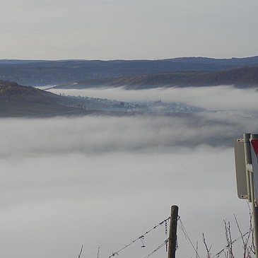 Nebel im Moseltal