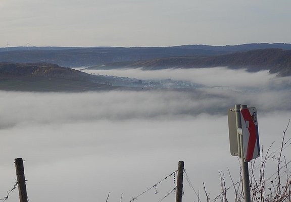 Nebel im Moseltal