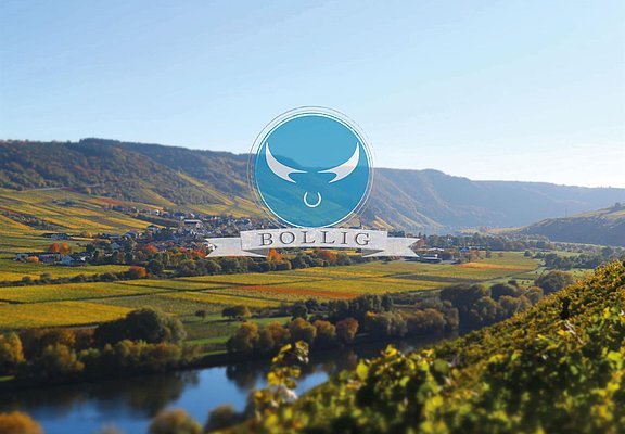 Weinlandschaft