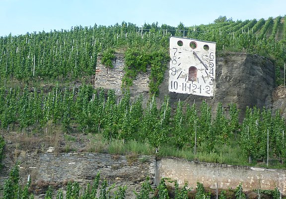 Weinberge