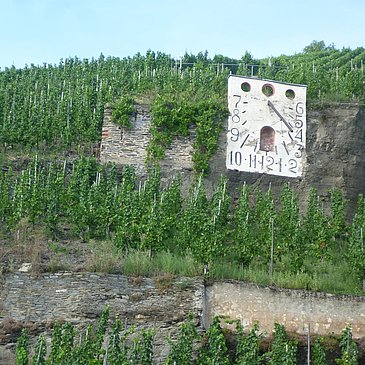 Weinberge